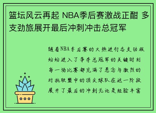 篮坛风云再起 NBA季后赛激战正酣 多支劲旅展开最后冲刺冲击总冠军